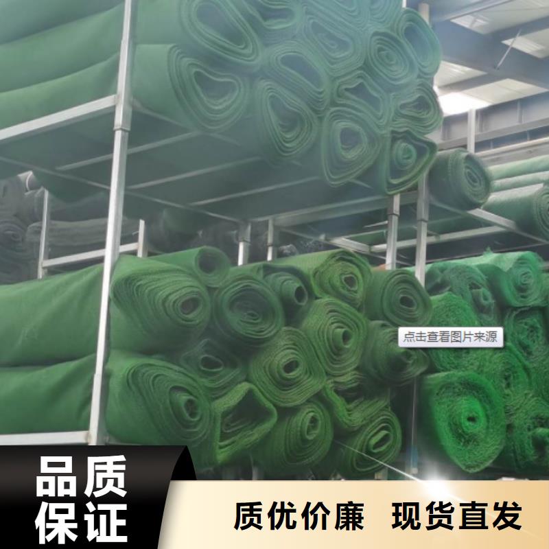 三维植被网批发价