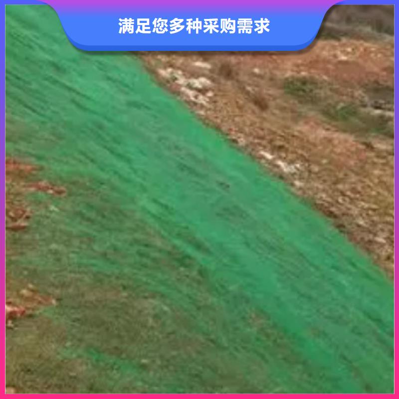 三维土工网垫批发价