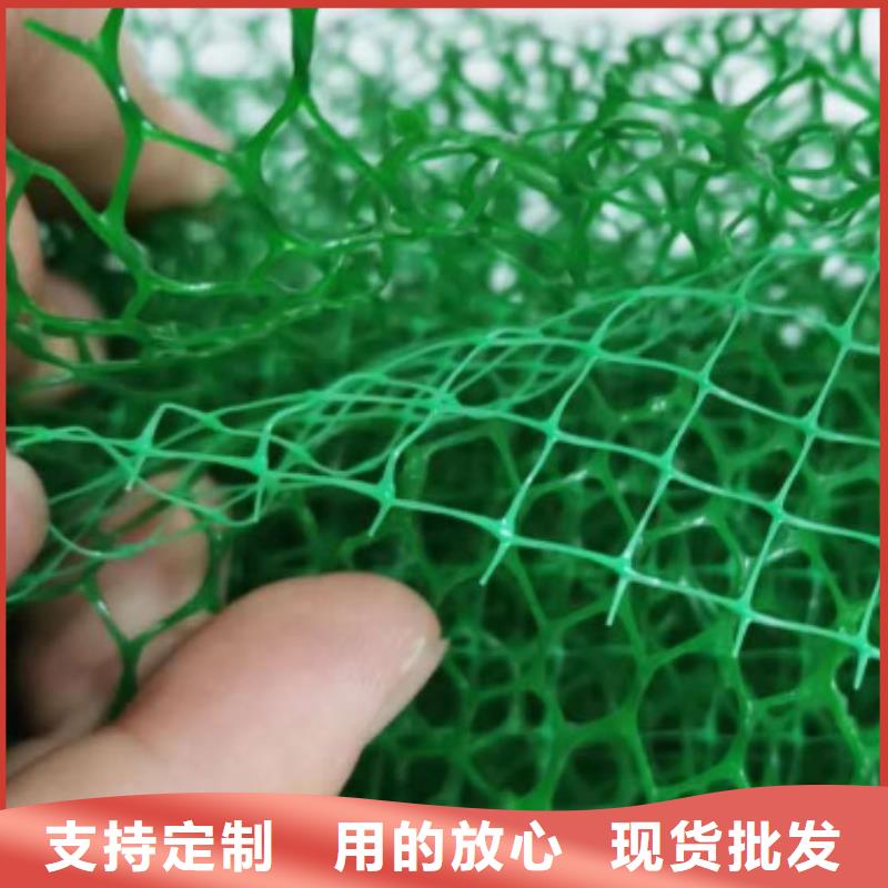 三维植被网,植草格库存量大
