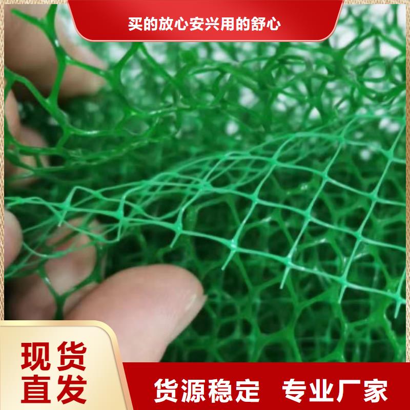 三维土工网垫型号