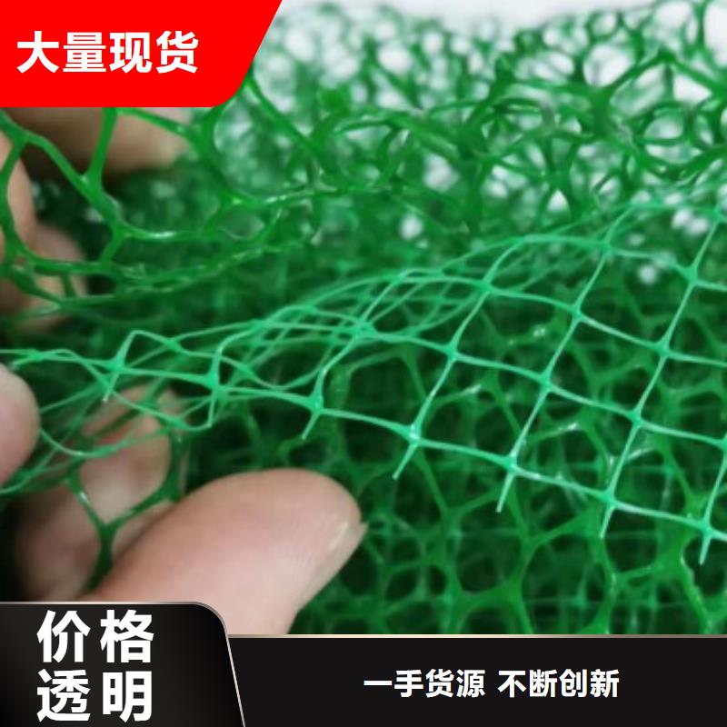 三维植被网防止水土流失