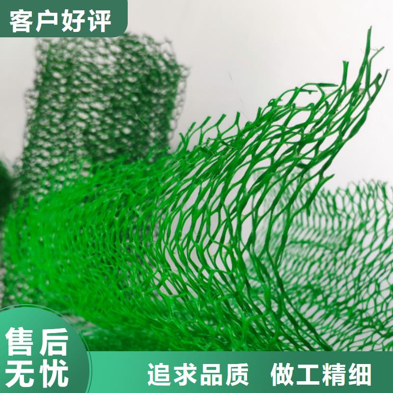 三维植被网价格
