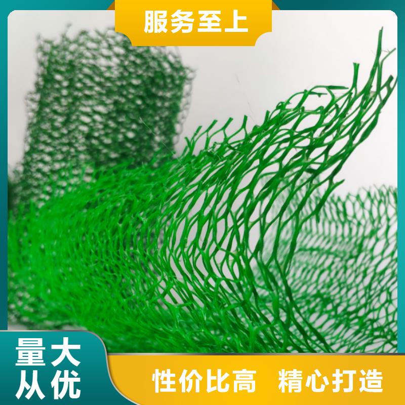 三维植被网植草格保障产品质量