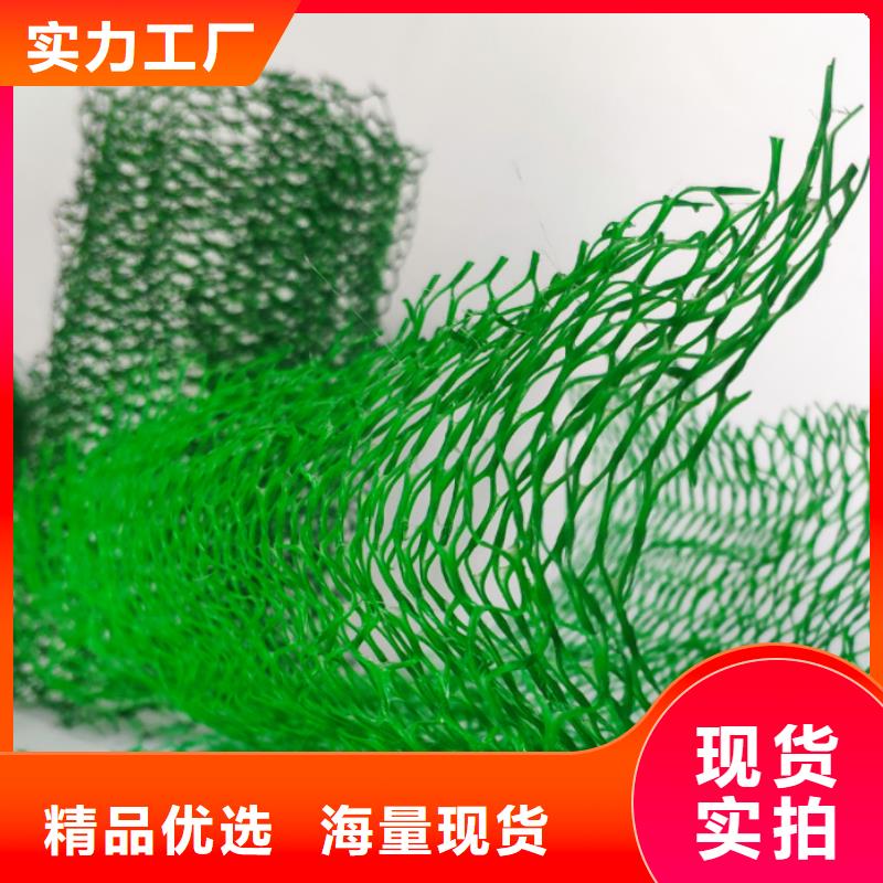 三维植被网水泥化粪池应用广泛