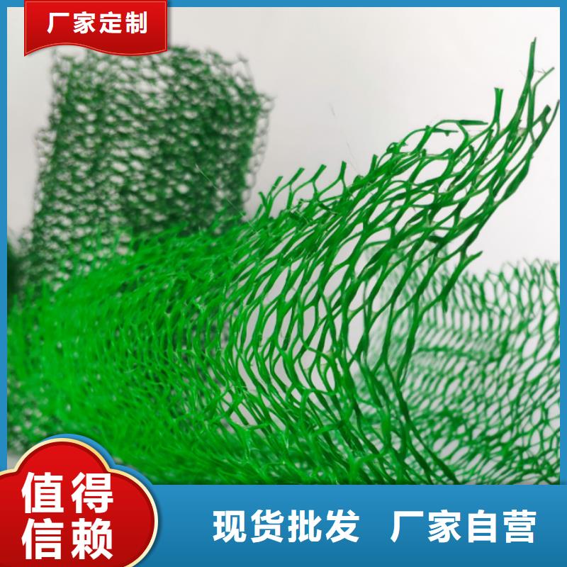 三维植被网工厂价