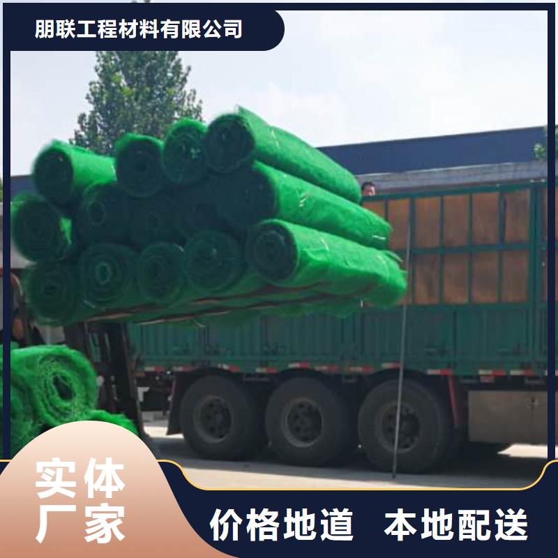 三维植被网【排水板】厂诚信经营
