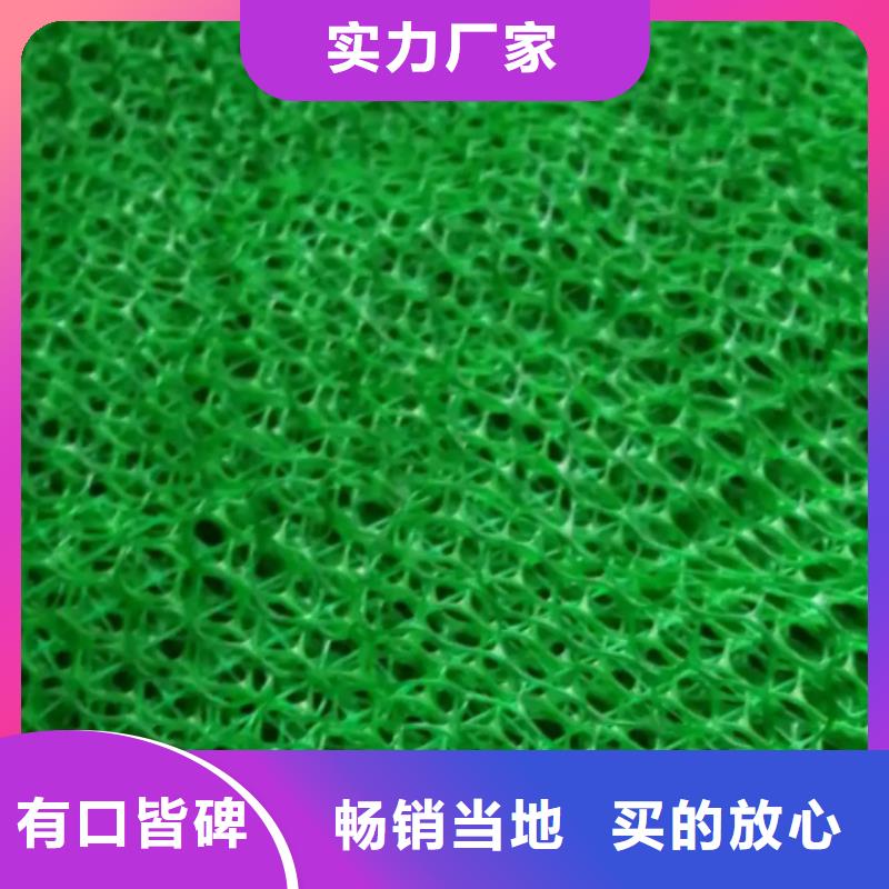 三维植被网【排水板】厂诚信经营