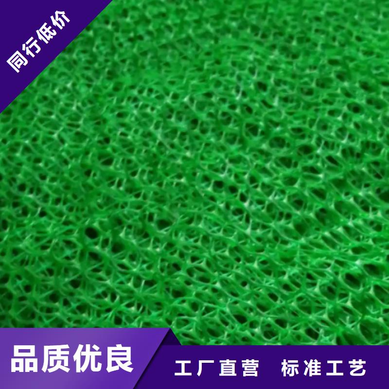 三维植被网车库虹吸排水系统品牌专营