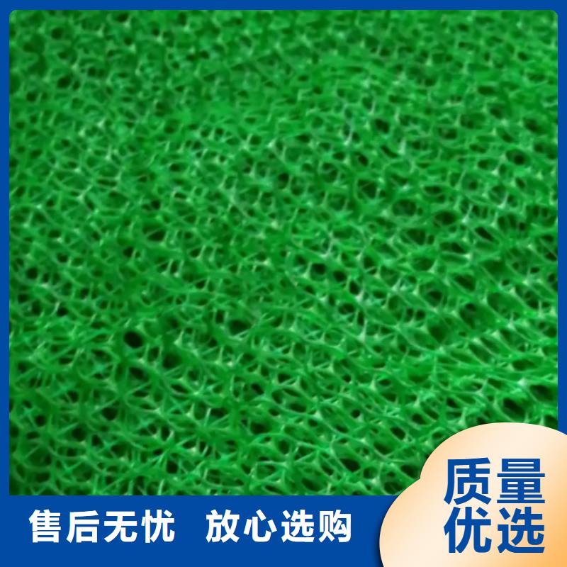 三维土工网垫厂家供应边坡复绿