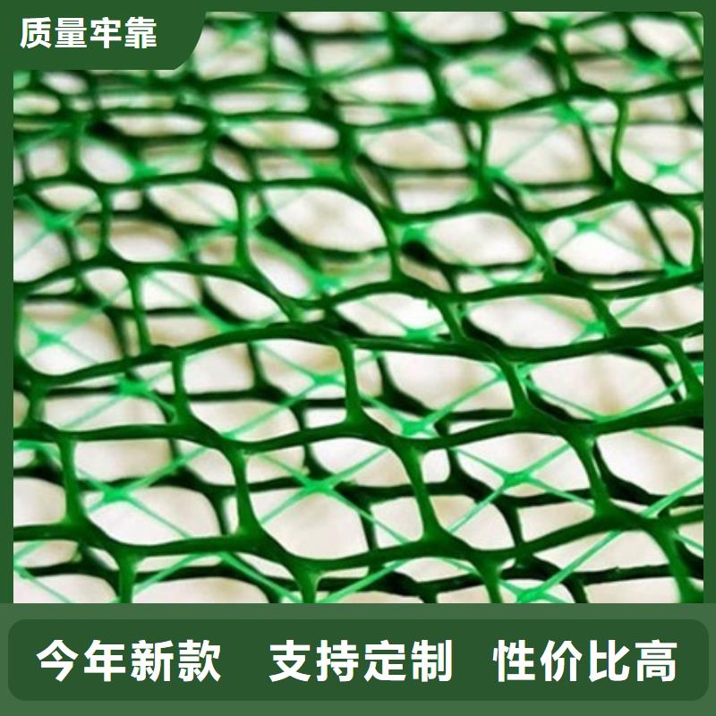 三维植被网直供厂家