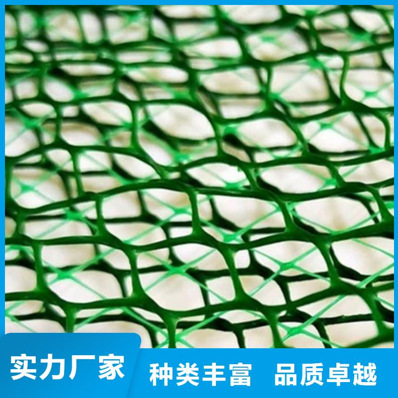 三维植被网多钱