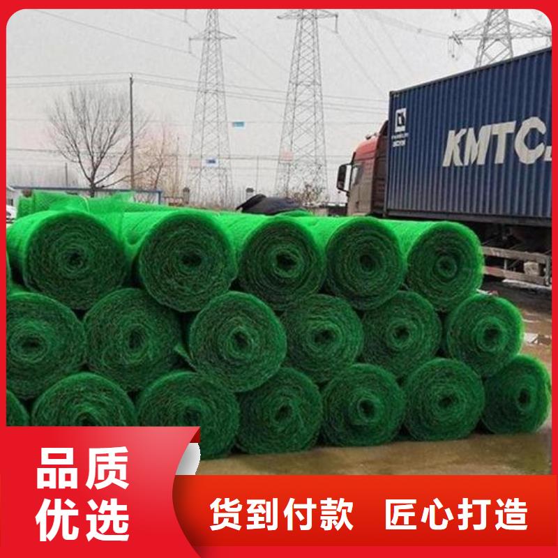 护坡土工网价格