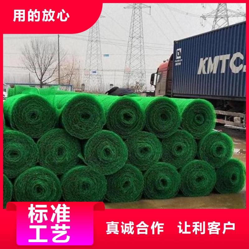 三维植被网水泥化粪池工艺层层把关
