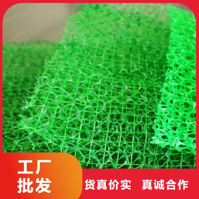 三维植被网价格