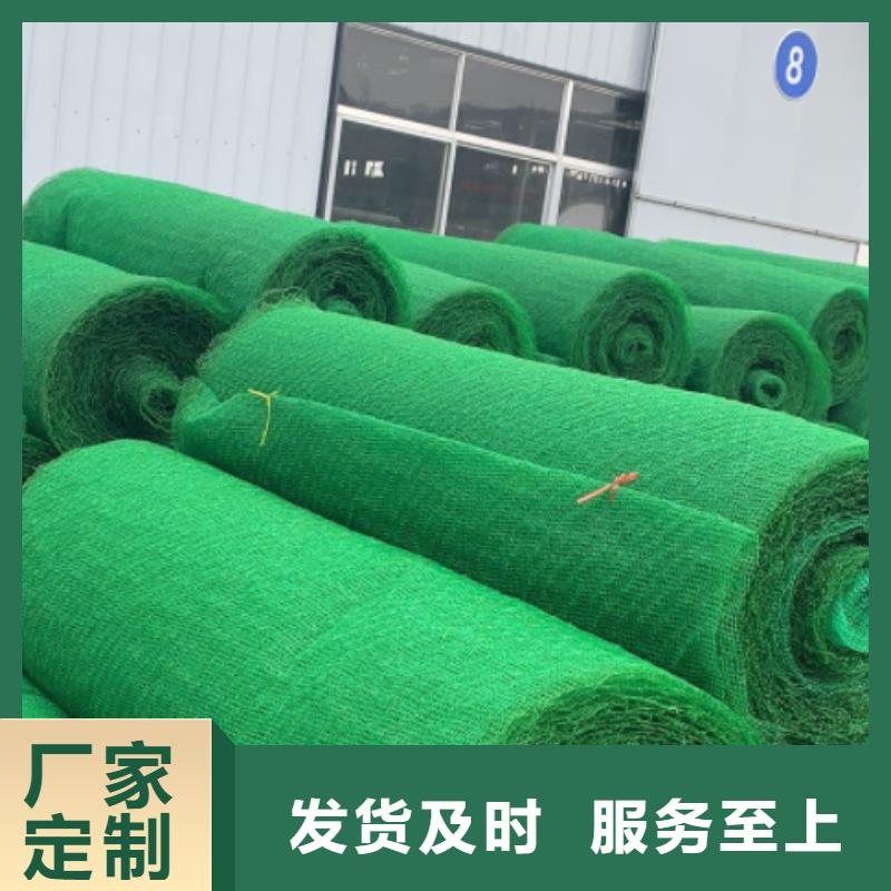 三维植被网,植草格库存量大