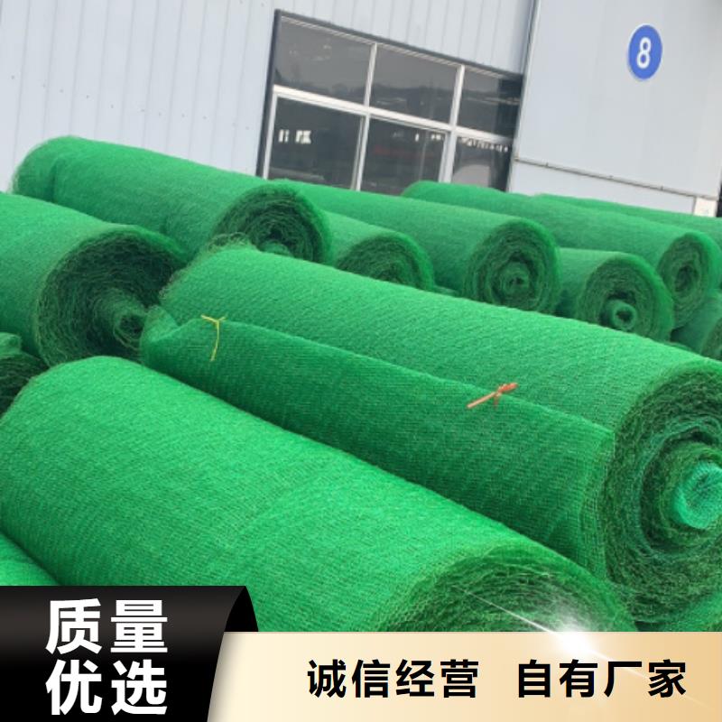 三维植被网诚信厂家