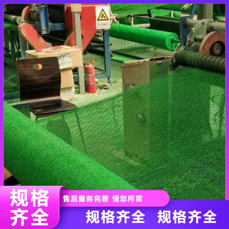 三维植被网型号全_全国供应