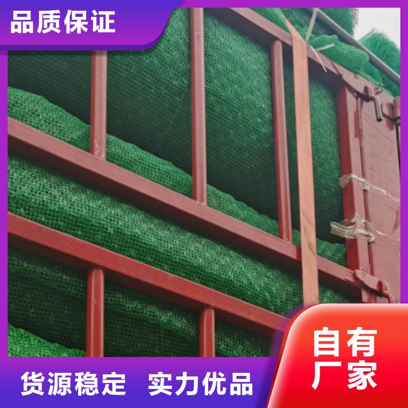 三维植被网本地厂家