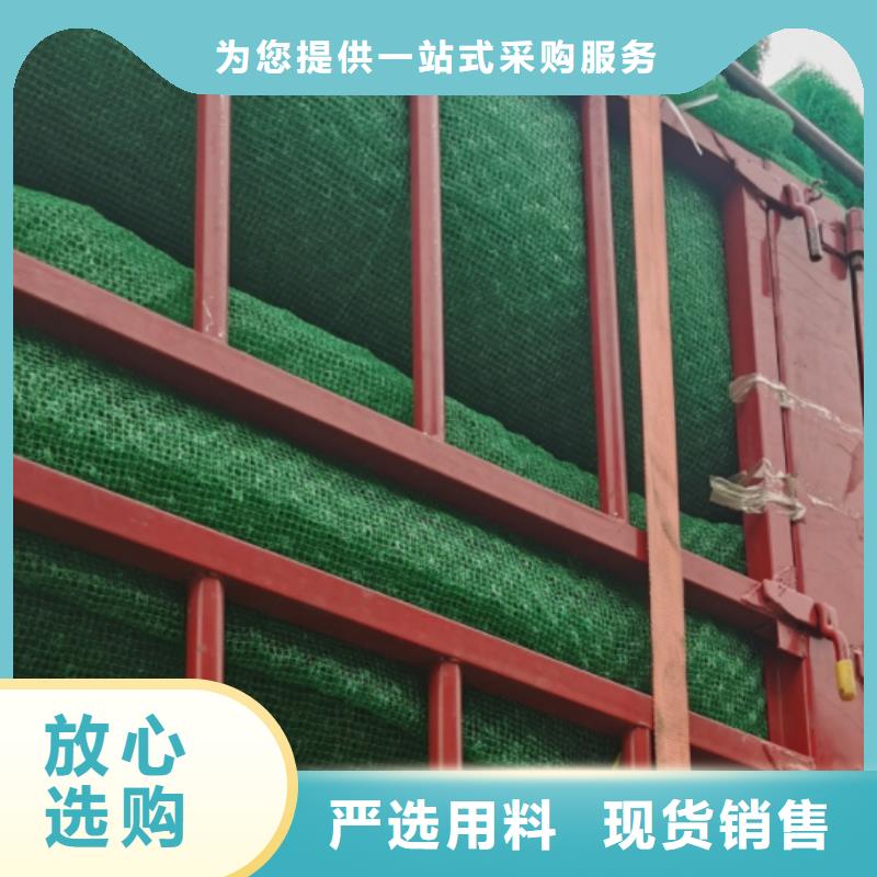 三维植被网本地厂家