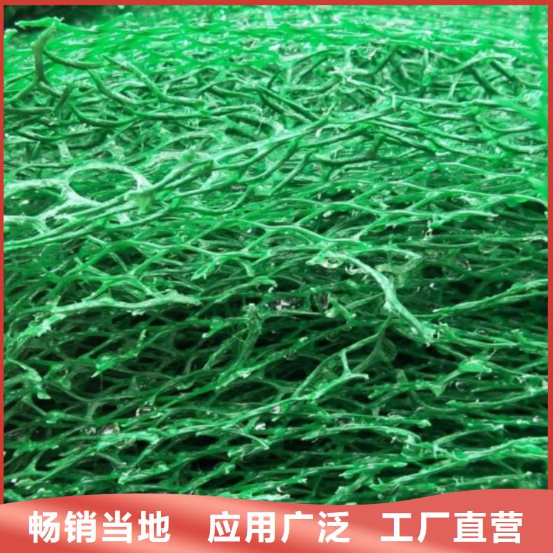 三维土工网垫工厂价