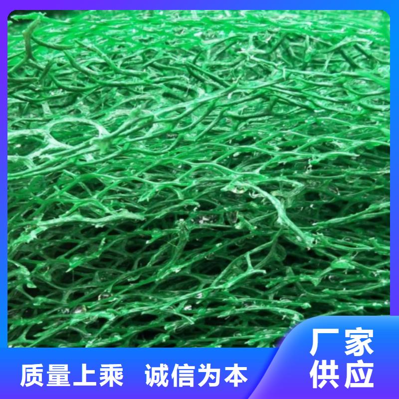 三维植被网防护虹吸排水收集系统现货直发