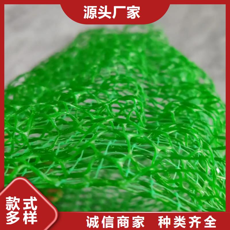 三维土工网垫价格