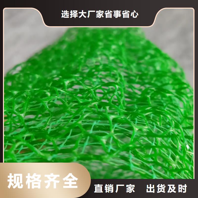 三维土工网垫厂家供应边坡复绿