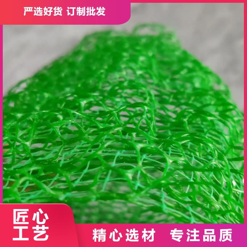 三维植被网防止水土流失