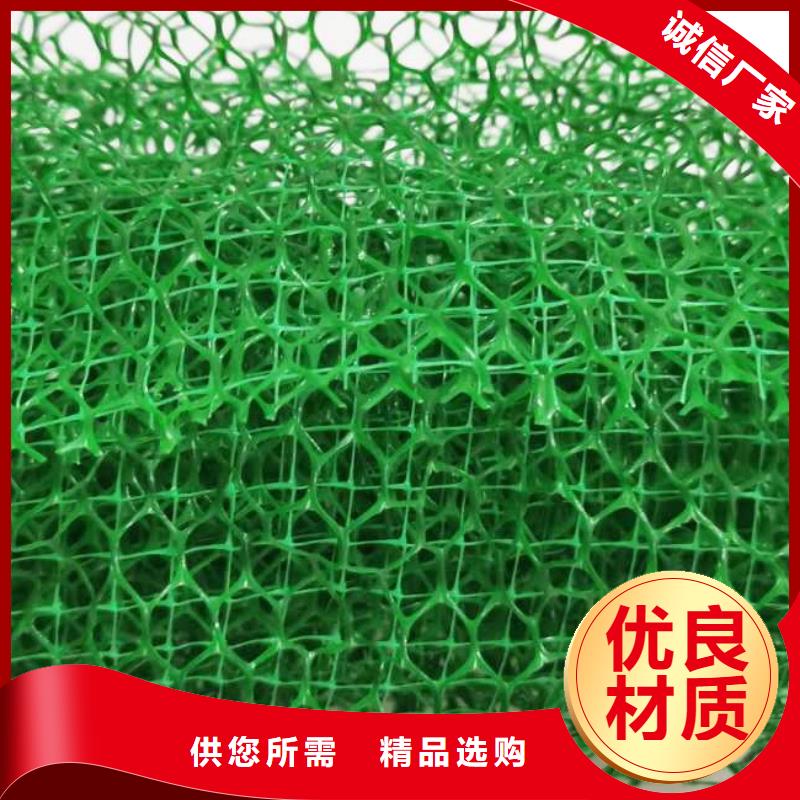 三维植被网价格