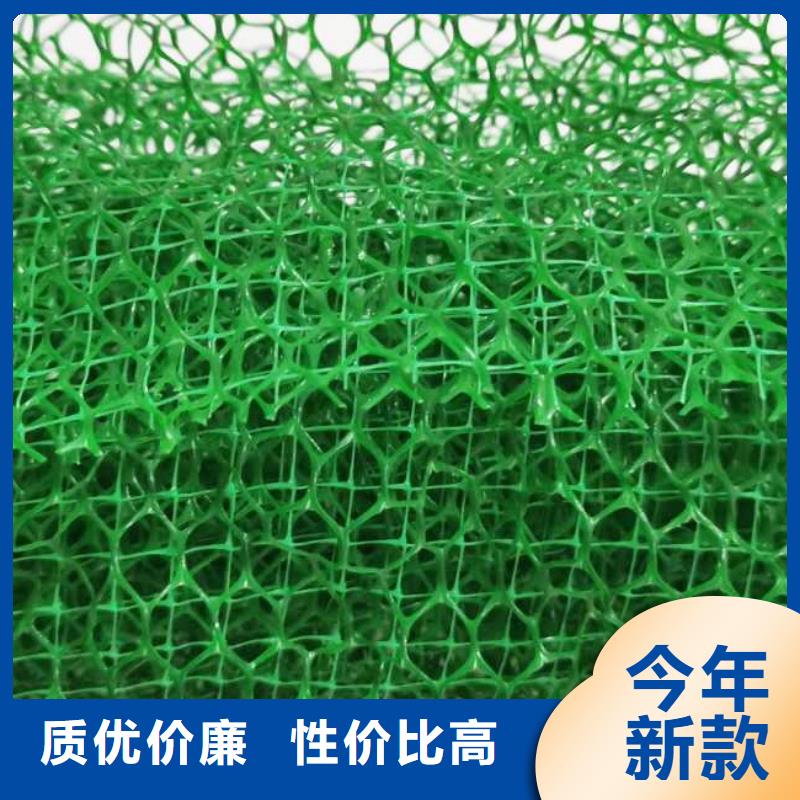 陵水县三维植被网厂家定制价