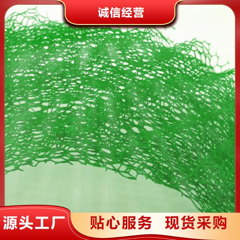 三维植被网工厂价