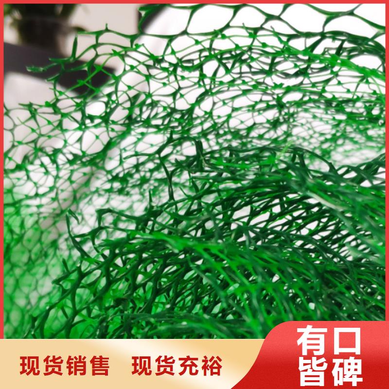 三维植被网批发价多少