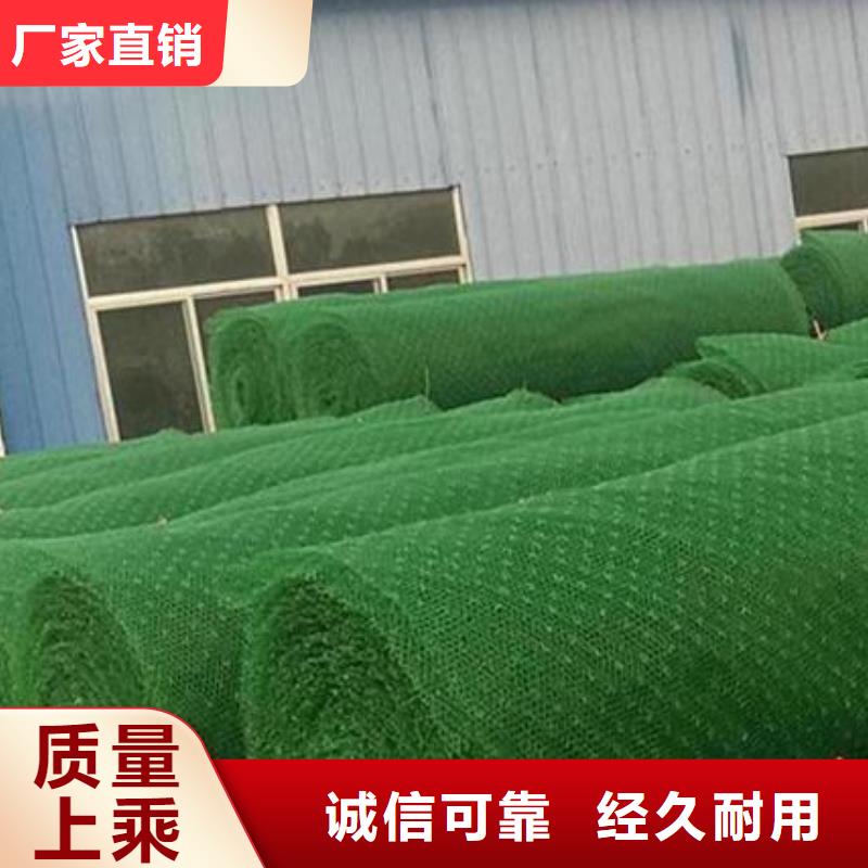 三维植被网,植草格库存量大