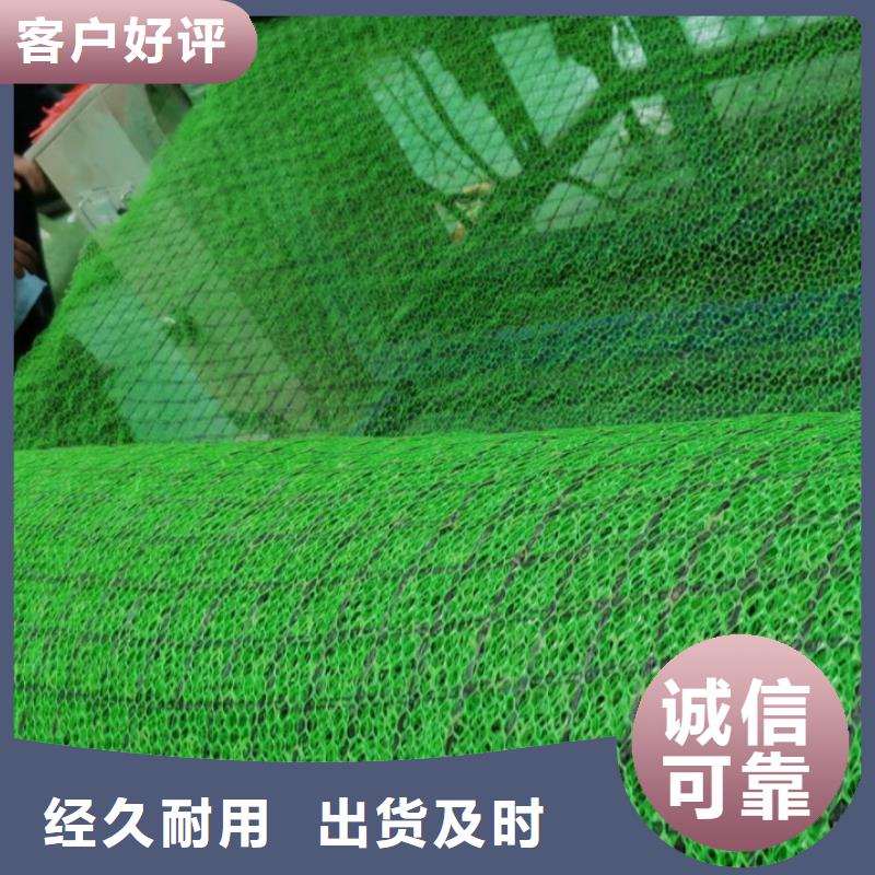 三维植被网-本地供货商