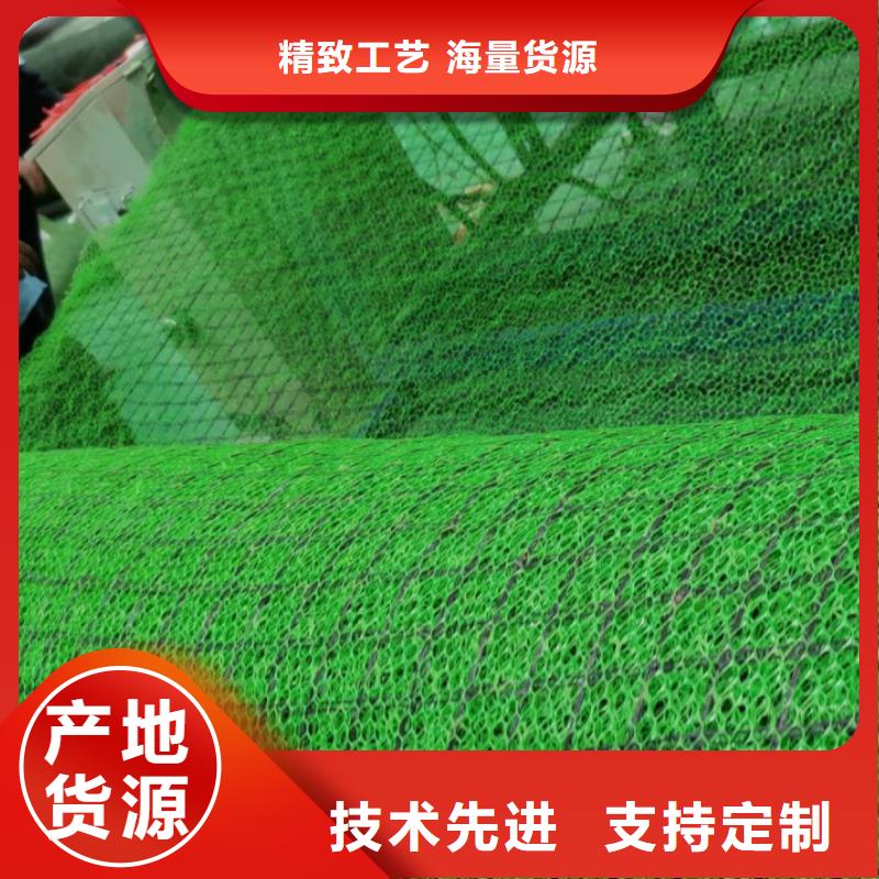 三维植被网防护虹吸排水收集系统现货直发