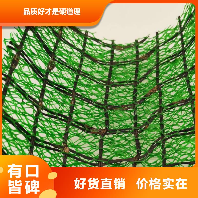 三维植被网价格