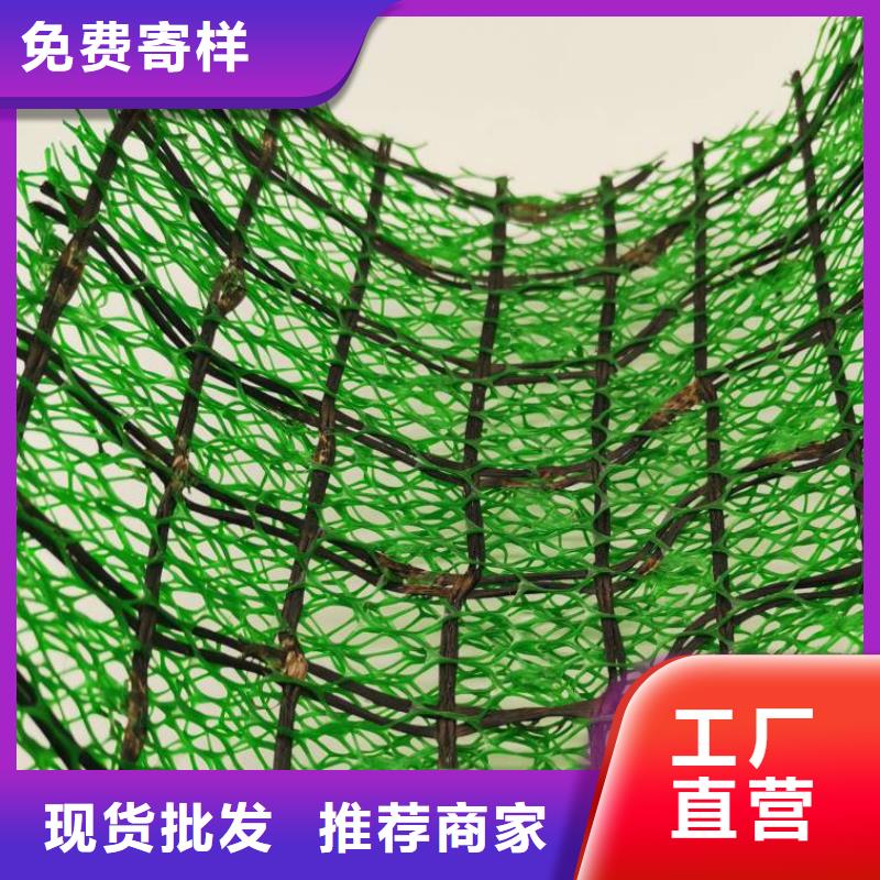 三维土工网垫厂家供应边坡复绿