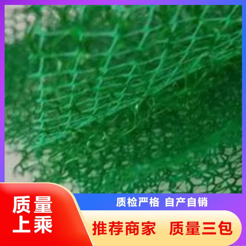 三维土工网垫厂家供应边坡复绿