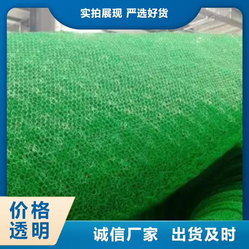 三维植被网防护虹吸排水收集系统现货直发