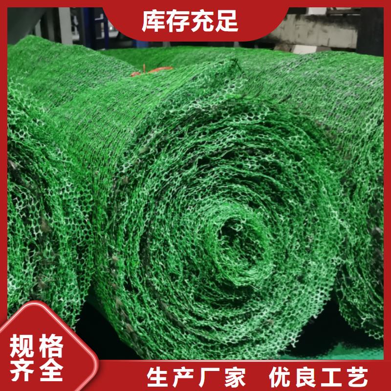 三维土工网垫本地厂家