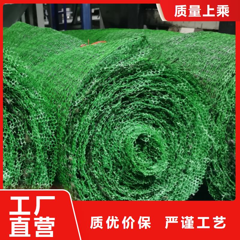 三维植被网-防护虹吸排水收集系统一站式采购商家