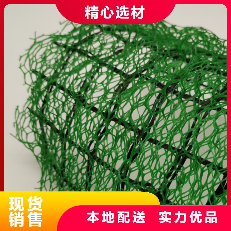 三维土工网垫工厂价