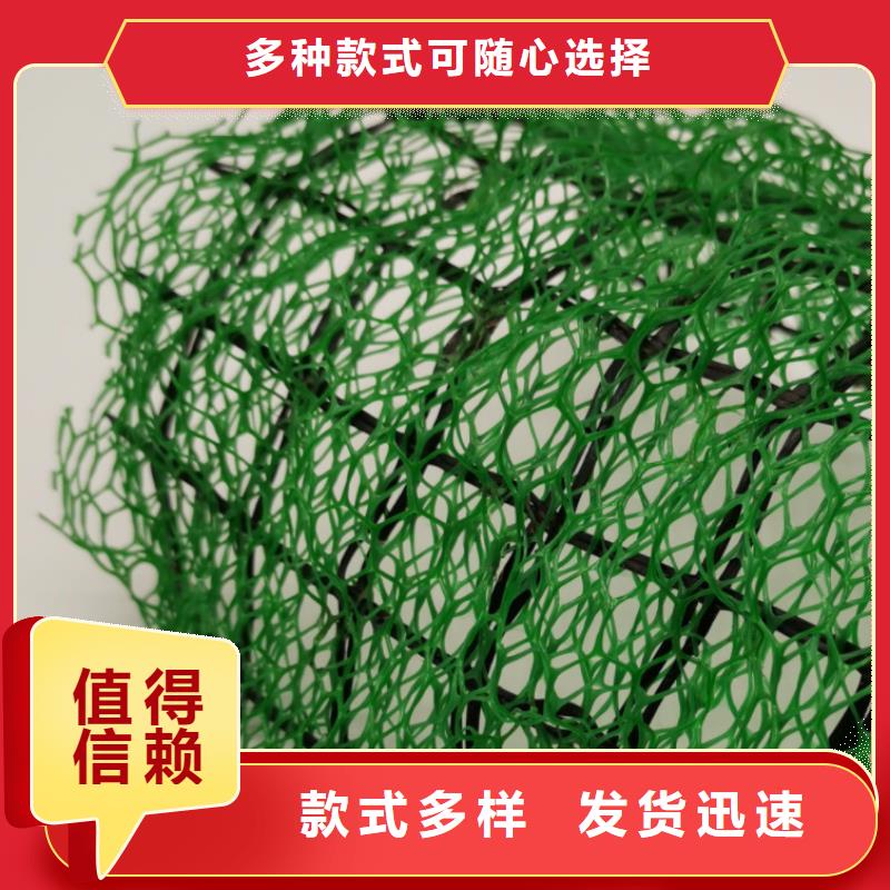 三维植被网厂家供应边坡复绿