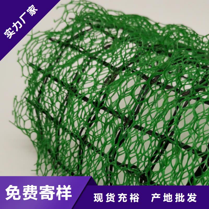 三维植被网-防护虹吸排水收集系统一站式采购商家