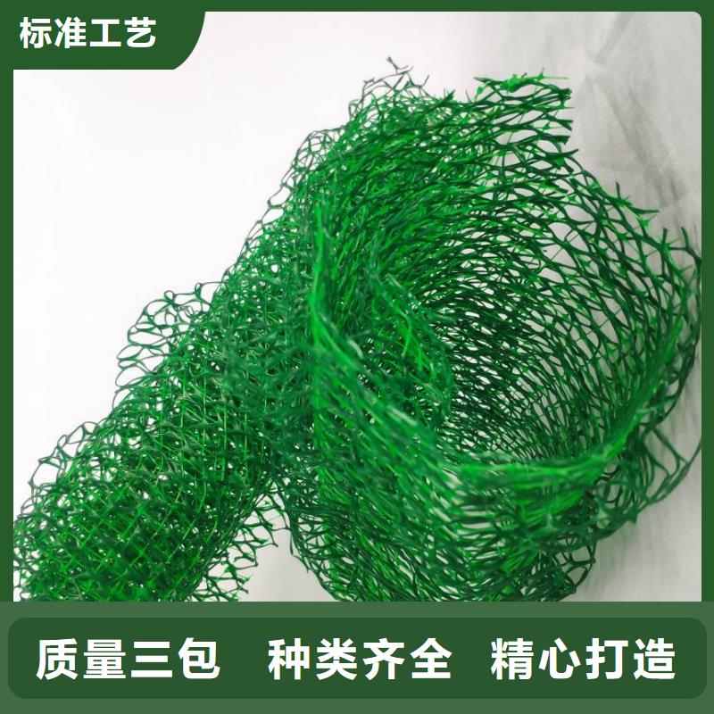 三维土工网垫厂家供应边坡复绿