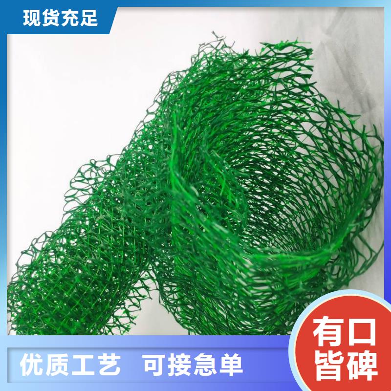 三维土工网垫厂家价格