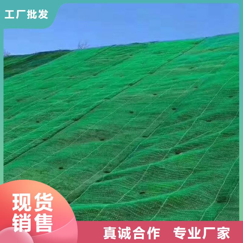 三维植被网批发价