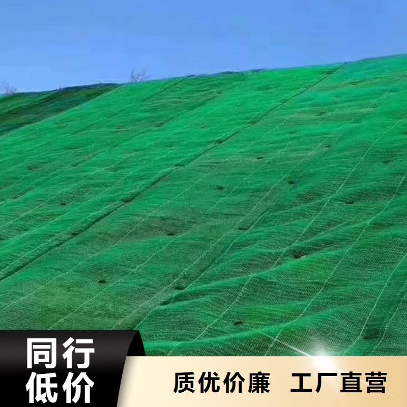三维植被网植草格来图定制量大从优