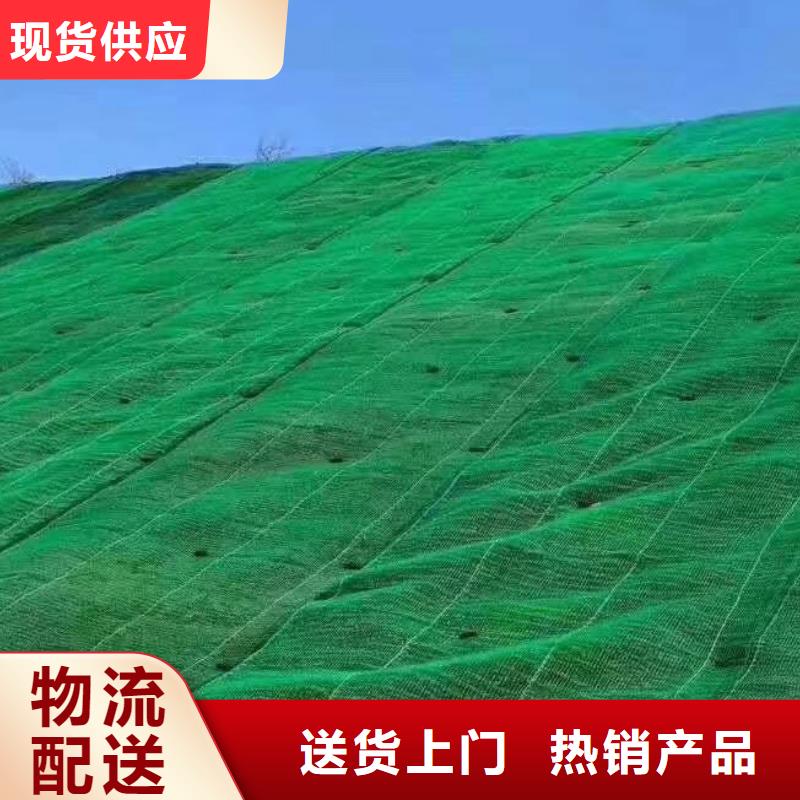 三维植被网工厂价