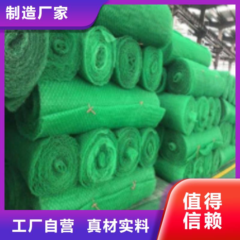 三维植被网诚信厂家
